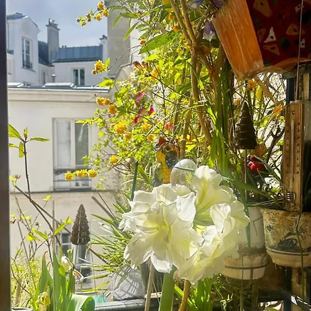 Marais Picasso - De 40 M2 *
