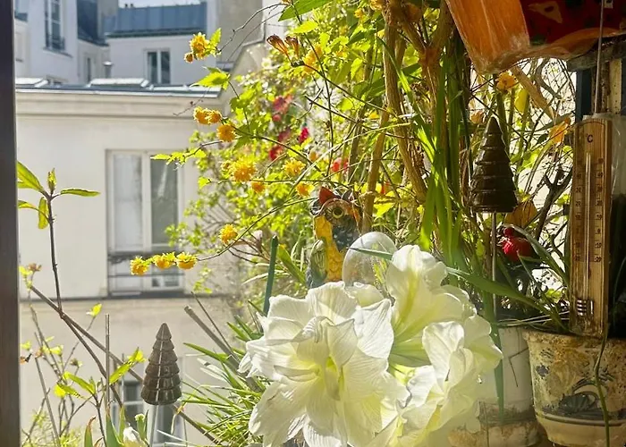 Marais Picasso - De 40 M2 *