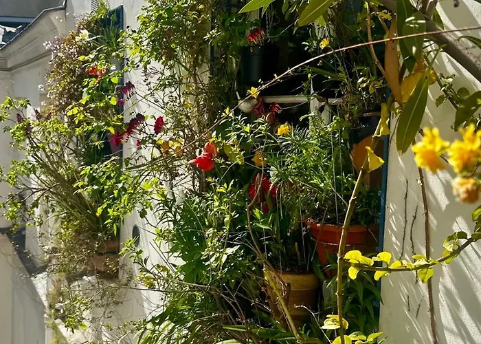 Marais Picasso - De 40 M2 * Paris